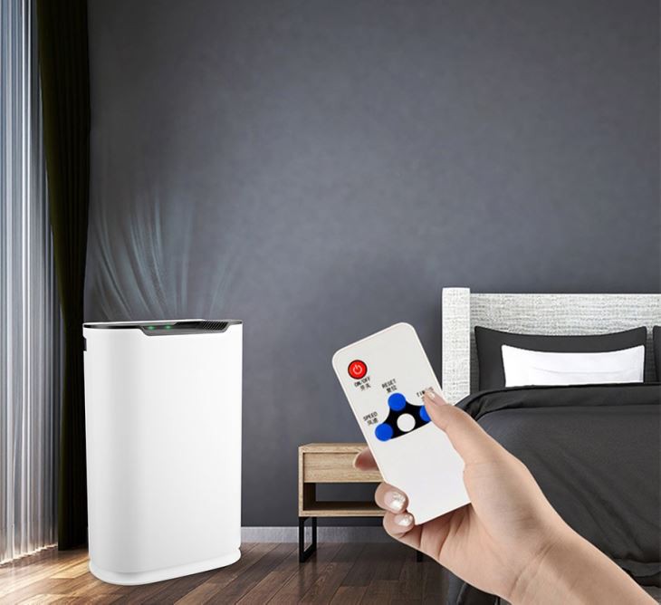 Health Air Purifier Anion Function