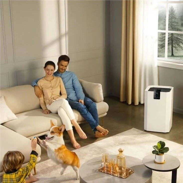 BKJ-80A Household Room Air Purifier With HEPA Filter