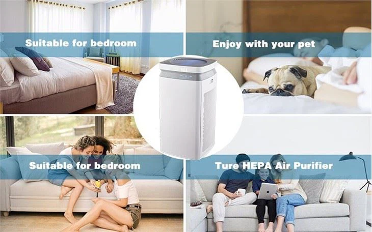 BKJ-90 Domestic Home Air Purifier With HEPA