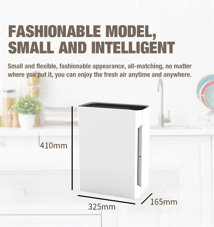 BKJ-20B 2023 Hot Sale HEPA Small Home Air Puriifer